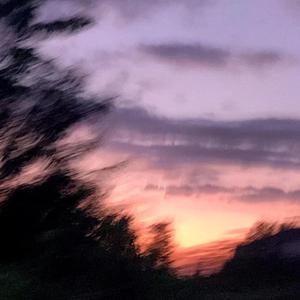 色花堂国产精品第一页
